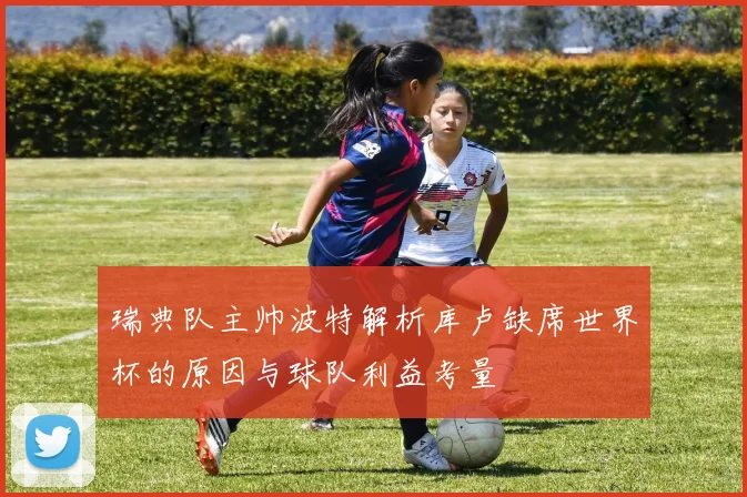 瑞典队主帅波特解析库卢缺席世界杯的原因与球队利益考量